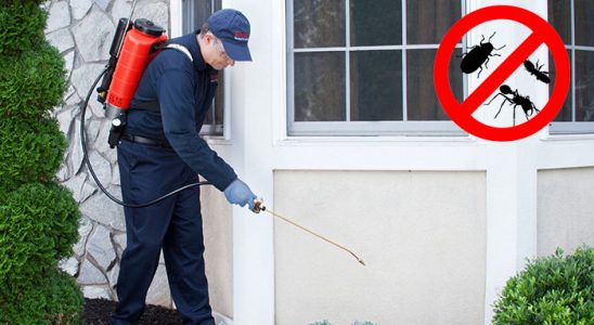 Yahşihan Hamam Böceği İlaçlama böcek ilaçlama ve haşere kontrolü — ilaclama-tr.com